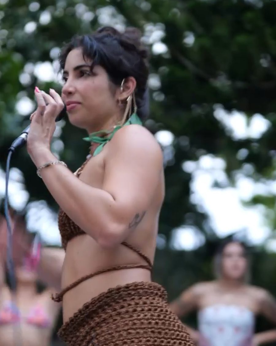 Performer singing to the crowd
